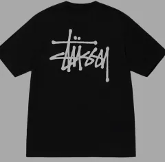 STUSSY ステューシー 黒 半袖 Tシャツ