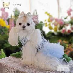 犬服 ワンピース プリンセスドレス 黒ストライプ 青チェック プリーツスカート チュール 裏起毛 小型犬 トイプードル チワワ マルチーズ 超小型犬 写真撮影 かわいい プレゼント