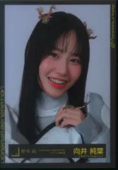 櫻坂46 UDAGAWA GENERATION 向井純葉 「UDAGAWA GENERATION」ジャケット写真衣装 ヨリ