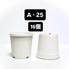 プラ鉢　A-25 白　16個　カネヤ　多肉植物のサムネイル