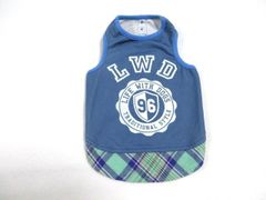 Item thumbnail for item b499b1ae-b1af-4d57-a186-75e790eebb1f