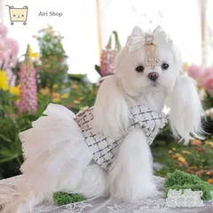 犬服 プリンセスドレス ワンピース プリーツスカート パール付き レース風 マルチーズ ビションフリーゼ トイプードル 小型犬 超小型犬 写真撮影 かわいい プレゼント ギフト