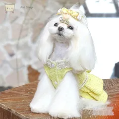 犬服 プリンセスドレス ワンピース パール付き レース風 マルチーズ トイプードル 小型犬 超小型犬 写真撮影 かわいい おしゃれ プレゼント ギフト