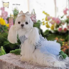 犬服 ワンピース プリンセスドレス 裏起毛 クリスタル付き プリーツスカート チュール重ね 小型犬 超小型犬 トイプードル マルチーズ チワワ 写真撮影 かわいい おしゃれ プレゼント ギフト