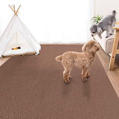 HAOCOO カーペット 200х300cm 約4畳 滑り止め - メルカリ