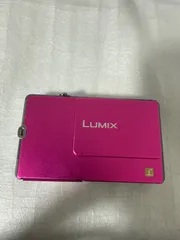 ❗️動作良好❗️デジカメ　本体　Panasonic DMC-FP1