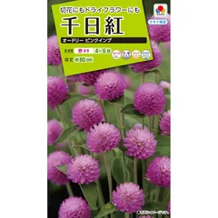 タキイ種苗 花種 千日紅 オードリーピンクインプ