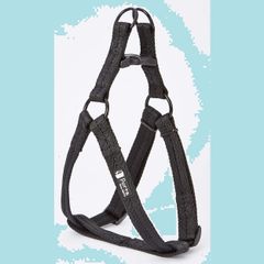 Item thumbnail for item 554eb5db-985f-4b8c-9e54-d038e43c2218