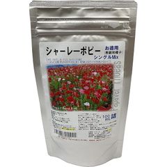 福花園種苗 西洋芝種子 バミューダグラス 種子1L詰 皮取種(普通種)