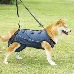 Item thumbnail for item 6df96fb4-6c18-4f91-91ac-00575d9018f1