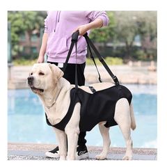 Item thumbnail for item e39124ad-d3e2-4abf-9bb2-6ad768c0cc37