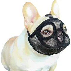 메시 주둥이, 강아지 입마개, 프렌치 불독 입마개, 내구성, 통기성, 짧은 코, 훈련용 주둥이, 조절 가능한 주둥이, 조절 가능한 물림/짖음 방지, 곡식 방지, 입마개 커버, 머즐 가드, 잉글리시 불독, 페킨 퍼그, 소형, 중형 및 대형 개 마우스 커버 1