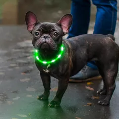 Ezierfy犬光る首輪, TPU 充電式 犬 散歩 ライト 暗闇で 犬 首輪 光る - 小型、中型、大型犬用の点滅犬 ライト 散歩用 (緑) 0