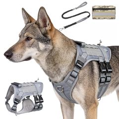 Item thumbnail for item 72df6f9d-0da9-46db-bb54-e02d48d82d05