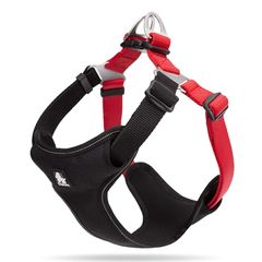 Item thumbnail for item d2e1816a-441f-4a97-8b15-9144362dc582