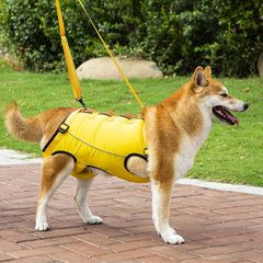 Item thumbnail for item 8006ab93-abb7-4773-9e34-3e37a6f326fd