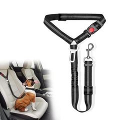 Item thumbnail for item 96574a06-be42-4af0-9787-3c1902dcff17