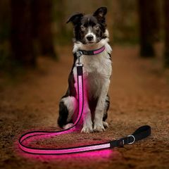 Item thumbnail for item 625ea329-4ca9-474a-8590-15d8e60bcf5d