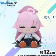 ブルーアーカイブ ちょこぷに ぬいぐるみ ホシノ - メルカリ