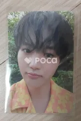 TREASURE トレジャー NCT ドヨン PLEASURE YELLOW/GREEN VER. KTown4u ポップアップストア ラキドロ