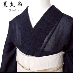 夏大島　正絹　薄物　紗紬　大島紬　小紋　フルセット　4点　フ9-6