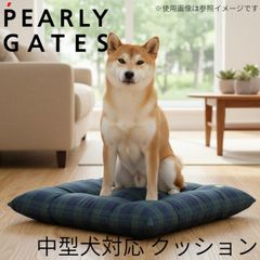 Item thumbnail for item 17aca1d2-4dfa-4c14-8fe1-6a46917da4e0