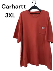 Carhartt 半袖 Tシャツ 3XL 763