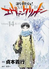 新世紀エヴァンゲリオン 14巻 漫画 カドカワコミックスA 貞本義行 角川書店(青年コミック)