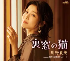 2026年最新】川野夏美の人気アイテム - メルカリ