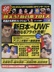 燃えろ！新日本プロレス vol.49 新日本vs邪道、危険すぎる賭け!! DVD