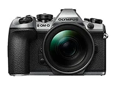 2026年最新】om-d e-m1 mark iii ボディの人気アイテム - メルカリ
