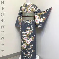 【着物と帯 時流】K26198◆正絹 付下げ小紋二点セット◆藍鼠色