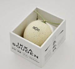 ゾ*ん様 高知県産　マスクメロン 6玉入り 約7.4㎏（下箱込み） ゾ*ん様 高知県産 マスクメロン 6玉入り 約7.4㎏（下箱込み） - メルカリ