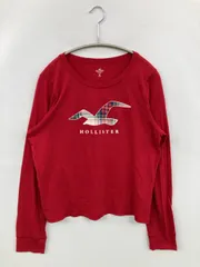 HOLLISTER ホリスター Tシャツ/カットソー S レッド 前面プリント ブランドロゴ 長袖 ショート丈 クルーネック(丸首)