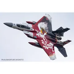 新品 プラッツ 1/72 航空自衛隊 F-15J イーグル 美ら島エアフェスタ2024 第204飛行隊 創立60周年記念塗装機 プラモデル AC-98 [佐川急便]のサムネイル