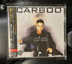 はっぴいえんど 紙ジャケットCD 3タイトルセット - メルカリ