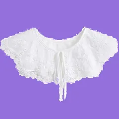 ビッグカラー レディース 付け襟 女性 シャツ襟 スカラップレース リボン結び 刺繍 大きめ襟 おしゃれ ボレロ ワンピース付け襟 重ね着風 レイヤード [UMIYI] フェイク衿 シンプル 清楚 かわいい キュート カジュアル ガーリー フェミニン きれいめ