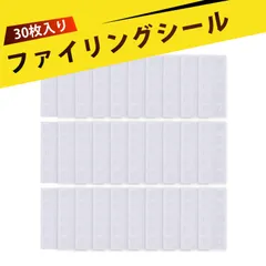 【30枚入り 】ファイリングシール 大人のシール収納 シール帳 台紙 透明 リフィル対応 インデックス 付箋 穴付き 活頁バインダー用 仕切り 透明 PVC製 貼って使える 丸穴付き 収納DIY 文具