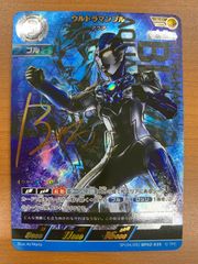 状態A ジェンティルドンナ SP ECP01-SP06 シャドウバース エボルヴ