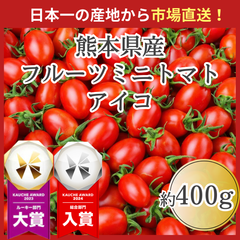 【市場直送！】熊本県産 アイコ ミニトマト 400g 野菜 青果 市場 フルーツ トマト とまと 訳あり トマト 大賞 受賞 ギフト 贈答 お歳暮
