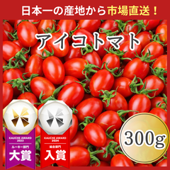 【市場直送!】熊本県産 アイコ ミニトマト 300g 野菜 青果 市場 フルーツ トマト とまと 訳あり トマト 大賞 受賞 ギフト 贈答 お歳暮