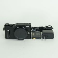 ショット数9527回PANASONIC LUMIX DC-GF10 レンズセット - メルカリ