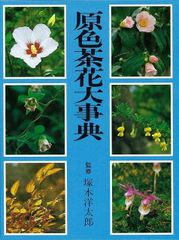 たのしい花の手芸 染の花 池宮妙子 学習研究社 昭和48年7月 初版