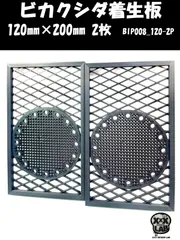 ビカクシダ着生板　120㎜×200㎜ 2枚　BIP008_120-2P