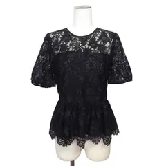 ザラ ZARA ブラウス 総レース シアー XS 黒