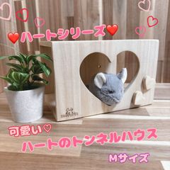 もふりん工房】オリジナル チンチラさんお迎えスターターセット - メルカリ