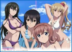 M*a様 ToLOVEる ダークネス プレイマット 水着 トレジャー ウェディン