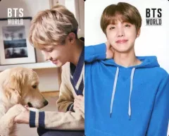 【中古】コレクションカード(男性) 防弾少年団/J-HOPE(ジェイホープ)/CD「BTS WORLD OST CD」封入特典両面フォトカード