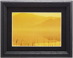 Item thumbnail for item 93fbc502-997d-42c6-8d3f-5f27f9487d73