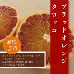 食品 57愛媛県産 ブラッドオレンジ タロッコ 10㎏